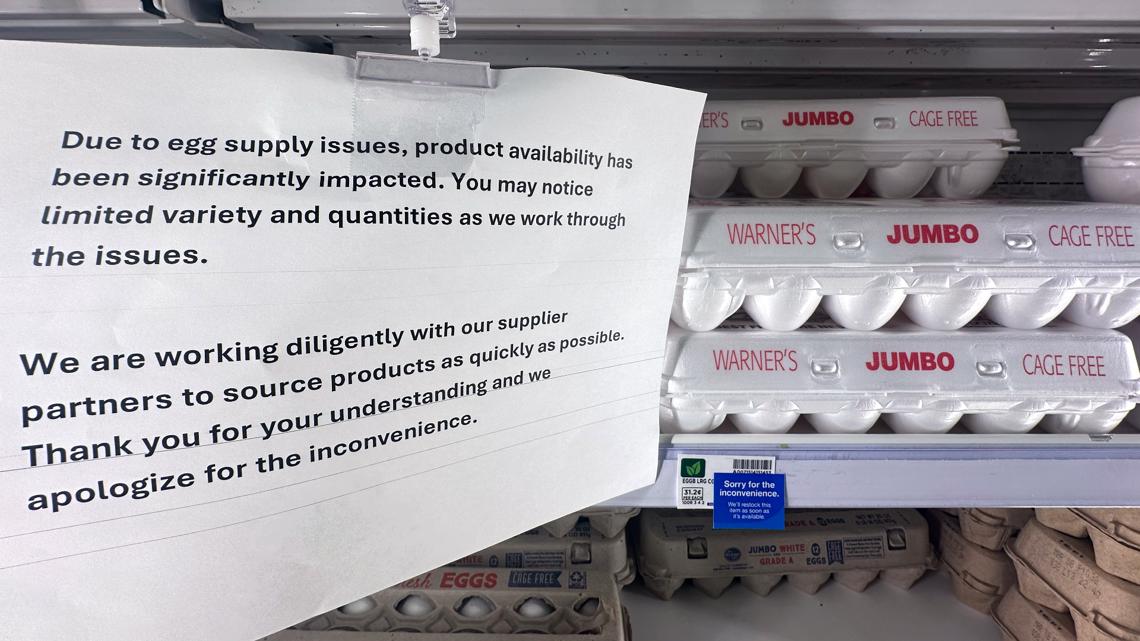 Egg prices could jump another 41% this year, USDA says, as Trump's bird flu plan unveiled