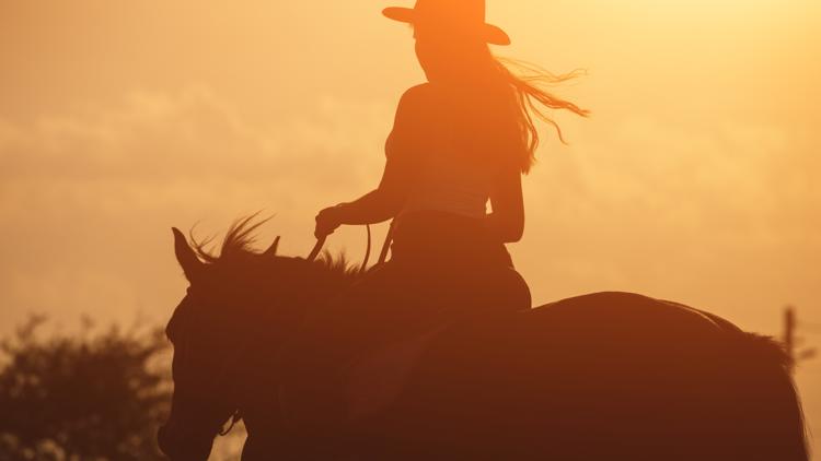 Y'all love a Southern accent, survey says
