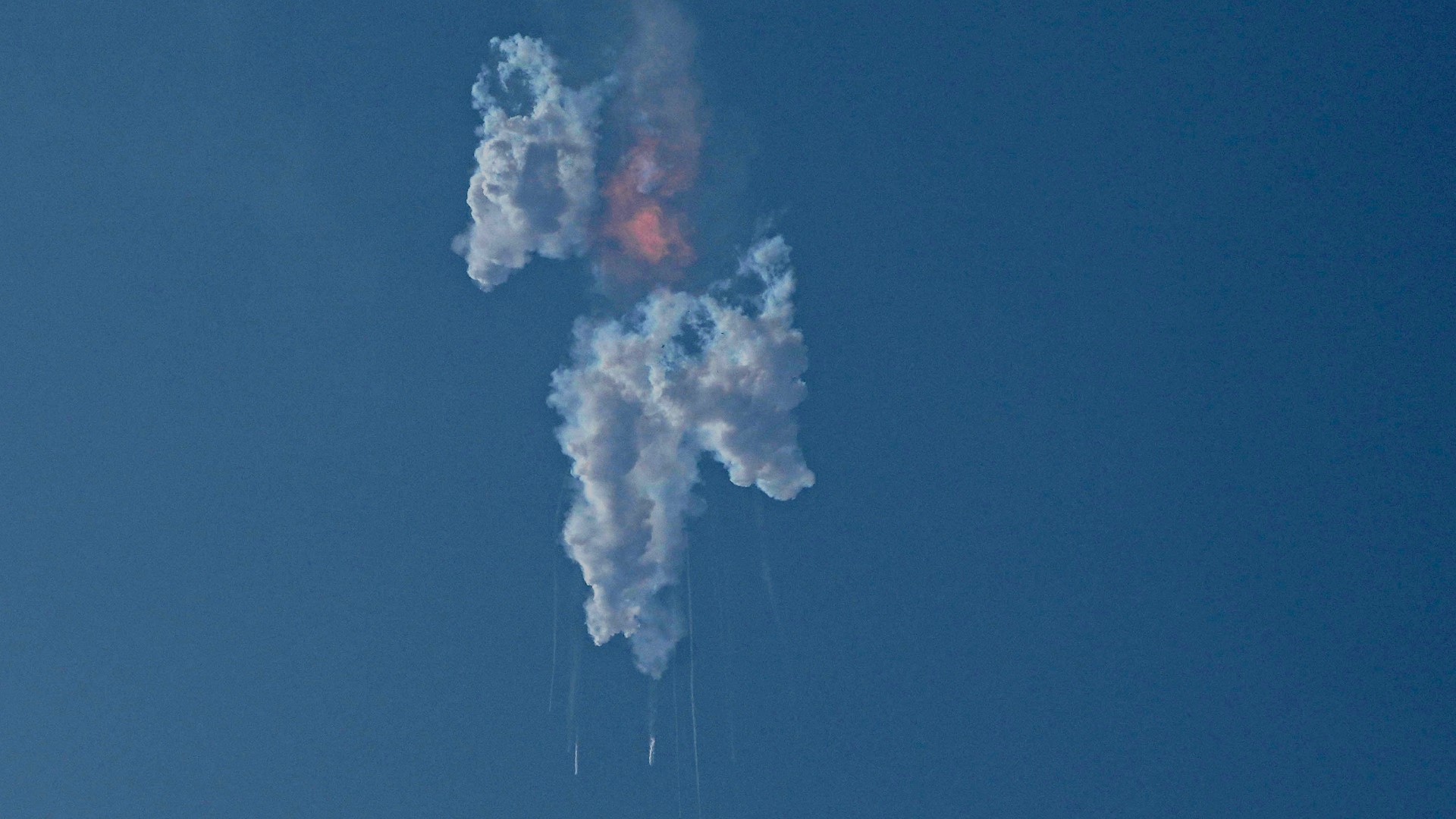 SpaceX’s giant new Starship rocket blasted off on its first test flight Thursday but failed minutes after rising from the launch pad.