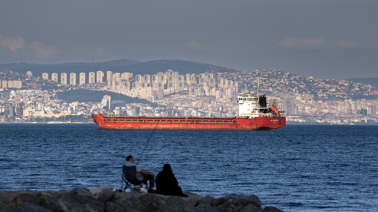 Russia, Ukraine expected to strike deal allowing grain exports Russia, Ukraine expected to strike deal allowing grain exports