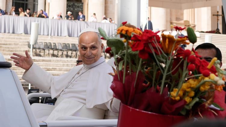 Pope Leo XIV cancels Assisi trip after lung surgery on doctors' advice