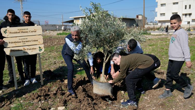 Palestinians dedicate a new West Bank olive grove to Jimmy Carter