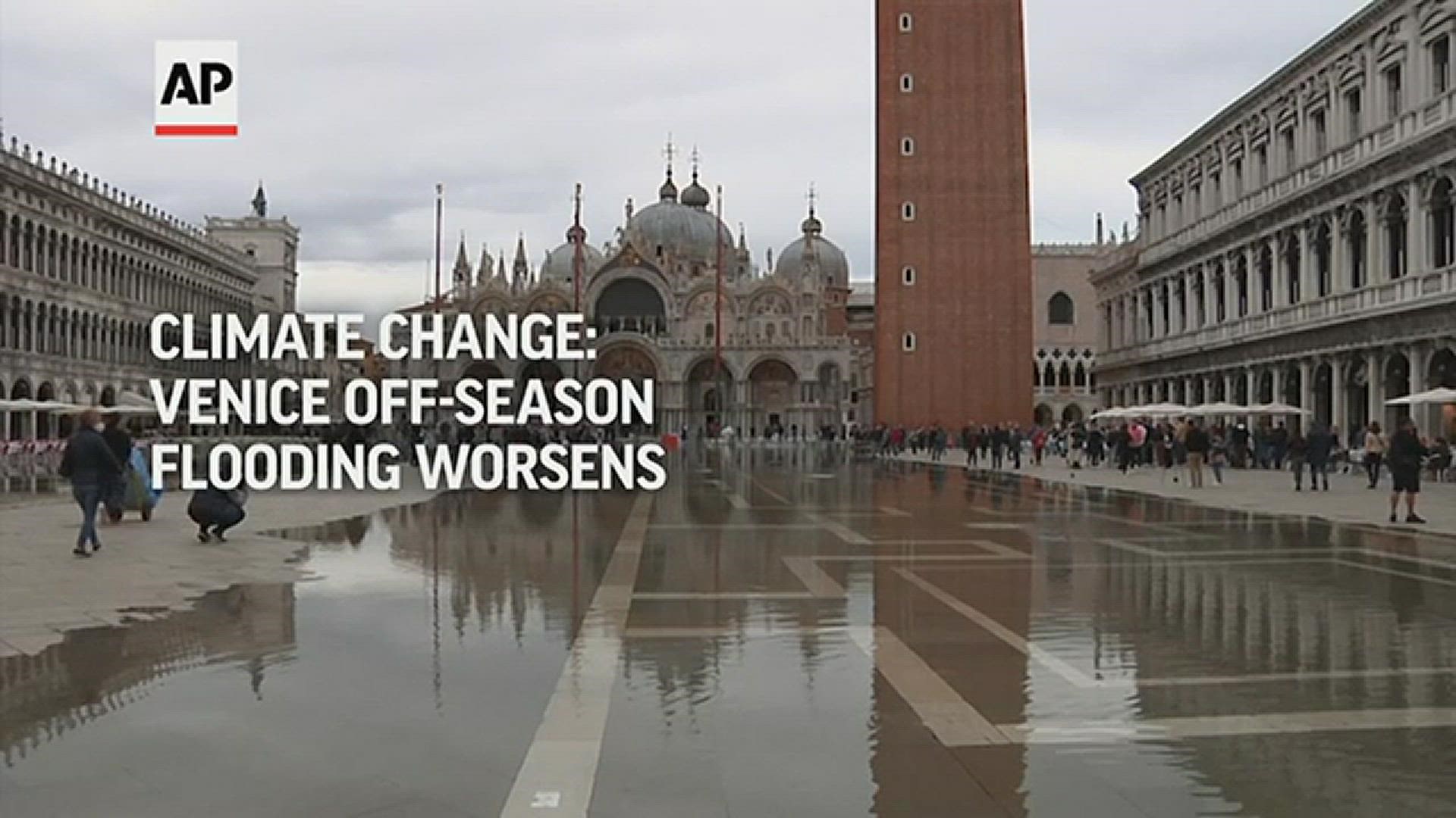 The repeated invasion of water into St. Mark's Basilica this summer serves as a reminder that the flooding threat to Venice isn't receding.