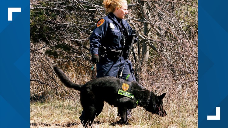 Suspect taken into custody in Long Island serial killings, AP source says