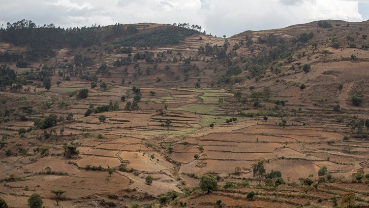 Witnesses: More than 200 killed in Ethiopia ethnic attack