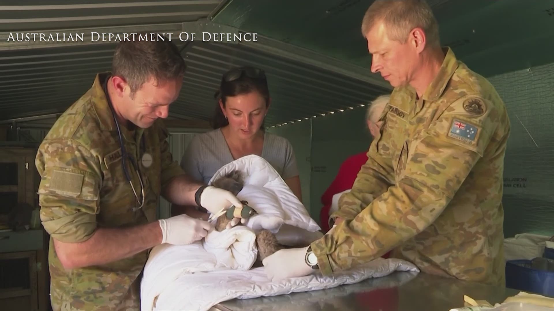 Captain Garnett Hall from the Australian army has been busy treating animals who have suffered burns at the Kangaroo Island Wildlife park. (AP)