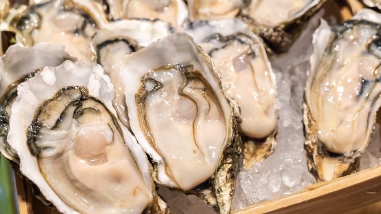 Oysters and clams potentially contaminated with norovirus recalled in 9 states