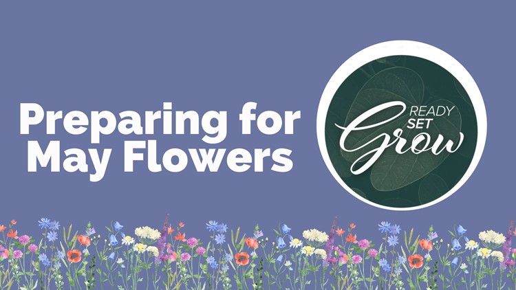 Ready, Set, Grow | Preparing for May flowers