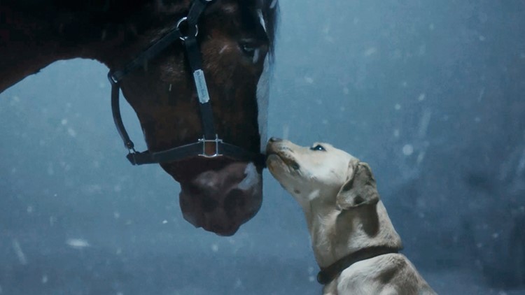 Bud brings back Clydesdales as early Super Bowl ad releases offer up nostalgia, humor, celebrities