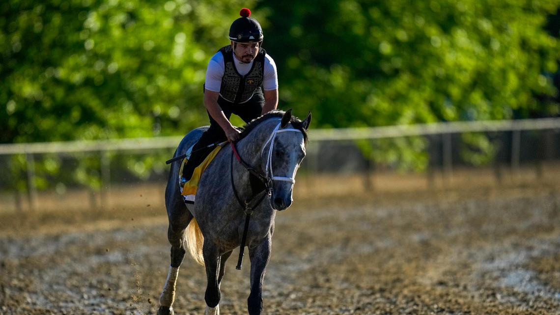 Preakness 2024: Seize the Grey wins Preakness Stakes horse race | wthr.com