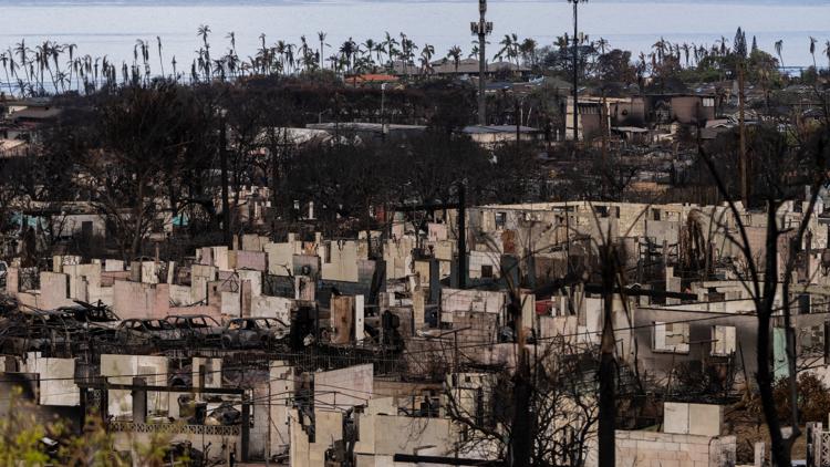 Maui sues cell phone carriers over failed warnings during deadly wildfires