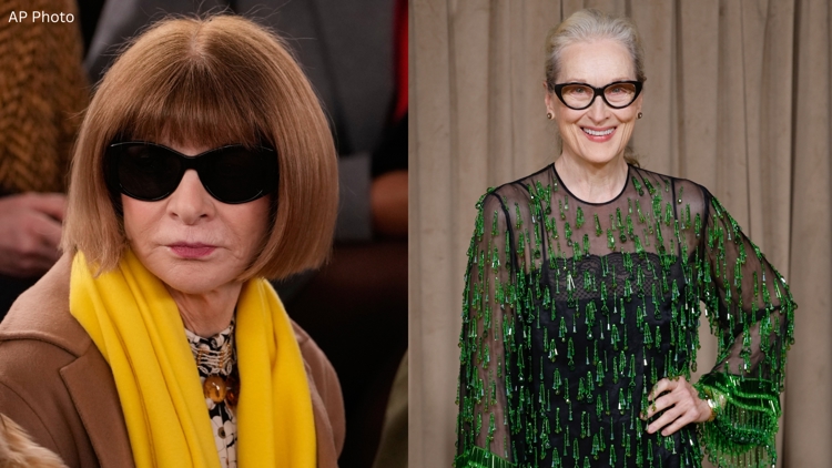 Meryl Streep and Anna Wintour are related, Ancestry finds