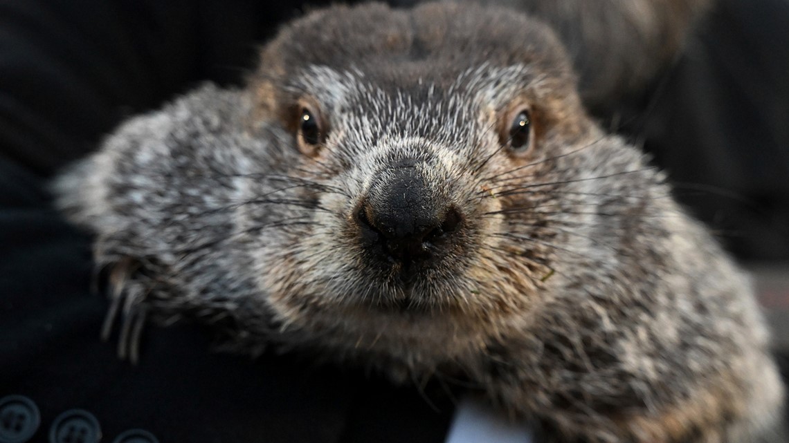 Groundhog Day 2024: Did Punxsutawney Phil see his shadow? | wnep.com