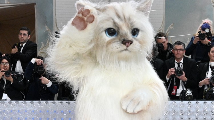 Realistic cat costume steals the show at Met Gala