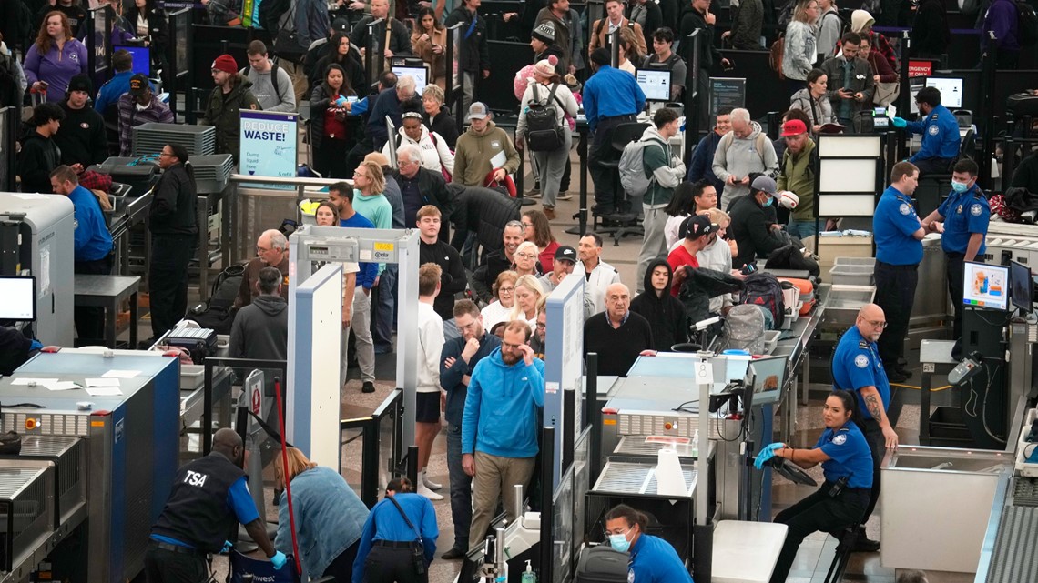 Millions of Americans to travel for Thanksgiving - Vimarsana News