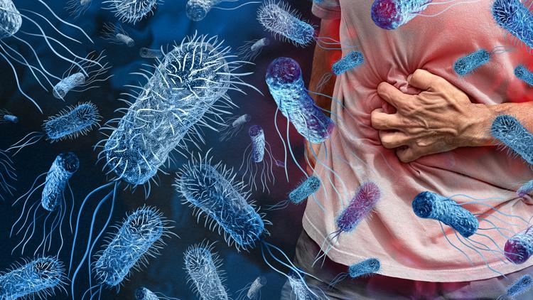 These are the signs of salmonella, how to treat it and when to see your doctor
