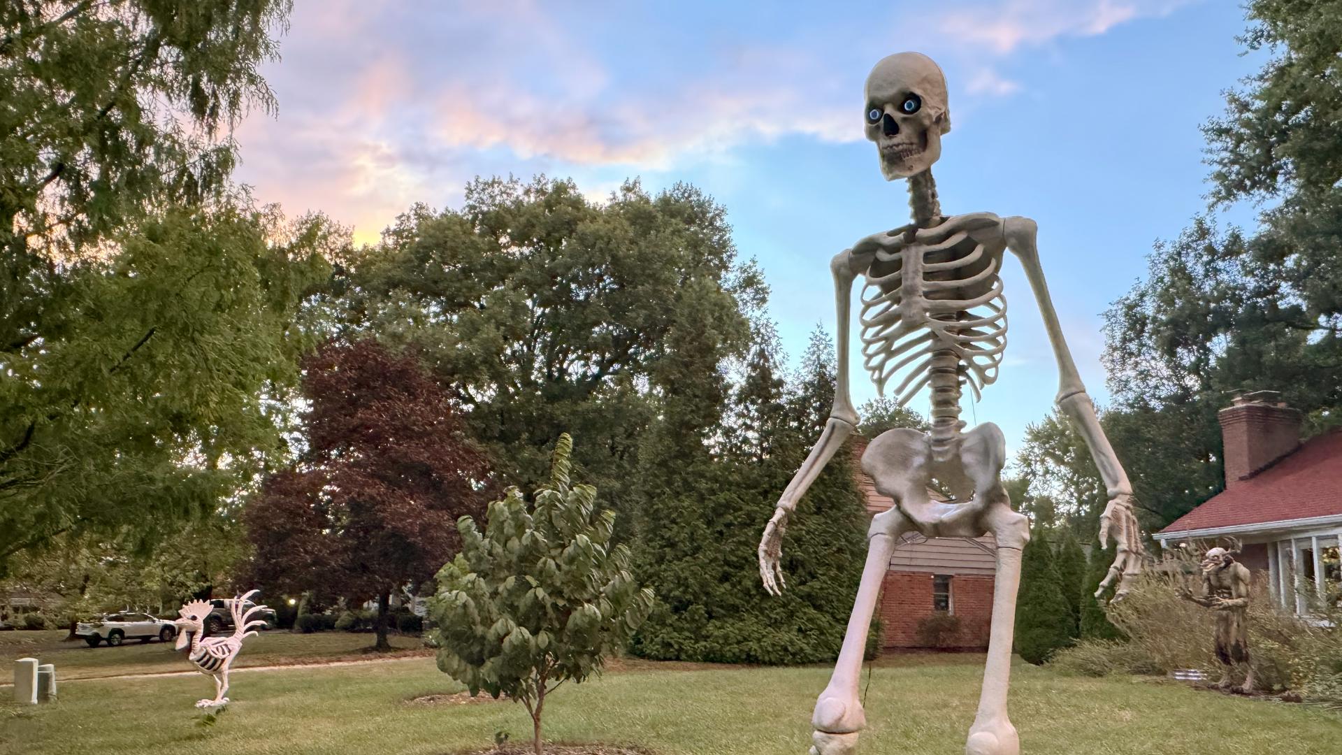 Halloween craze has taken off in recent years