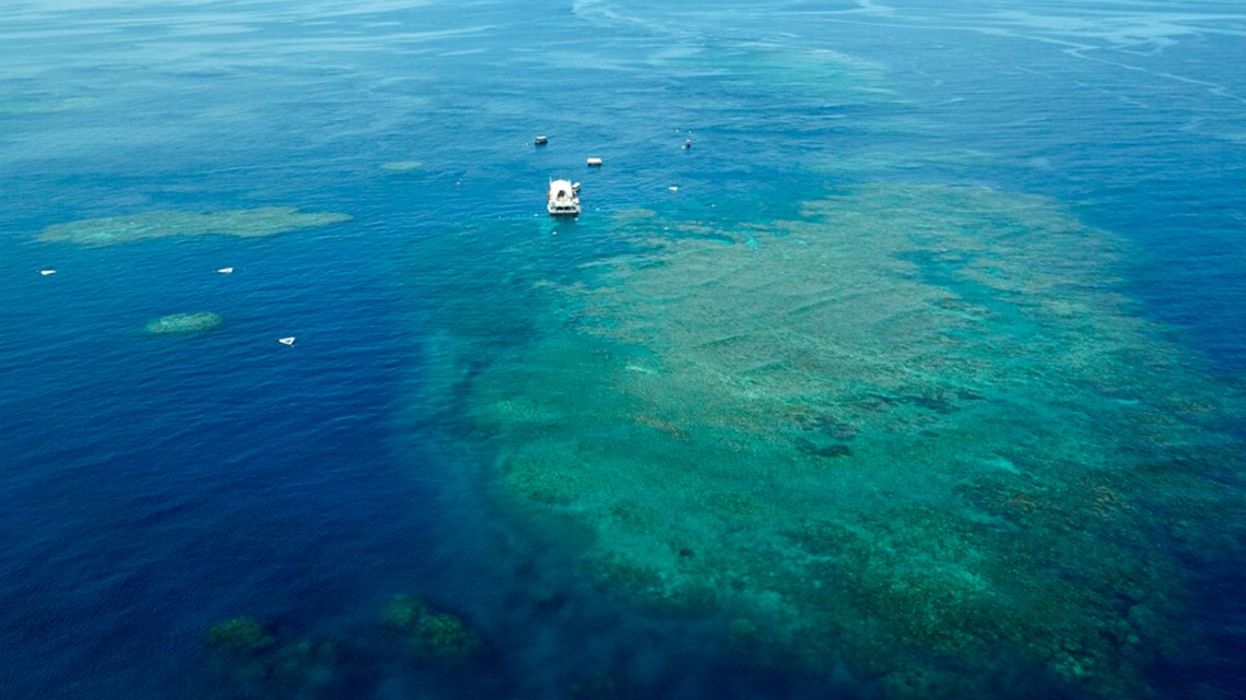 Australia to argue against UNESCO endangered Barrier Reef status | 10tv.com