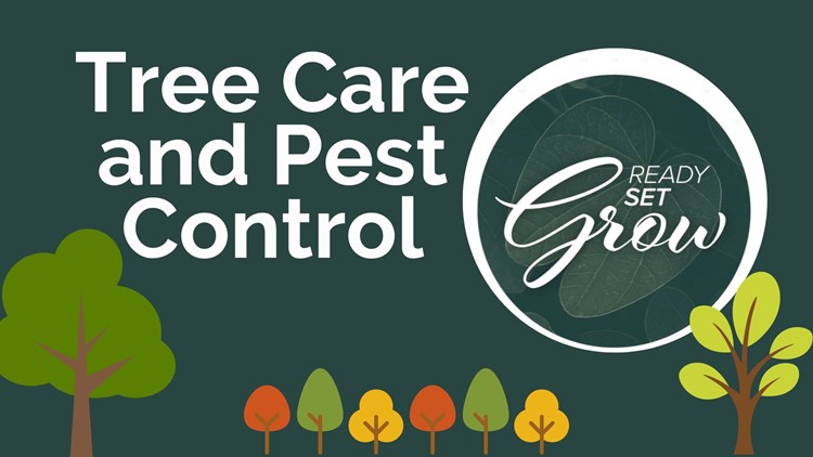 准备，设置，生长|树护理和虫害控制