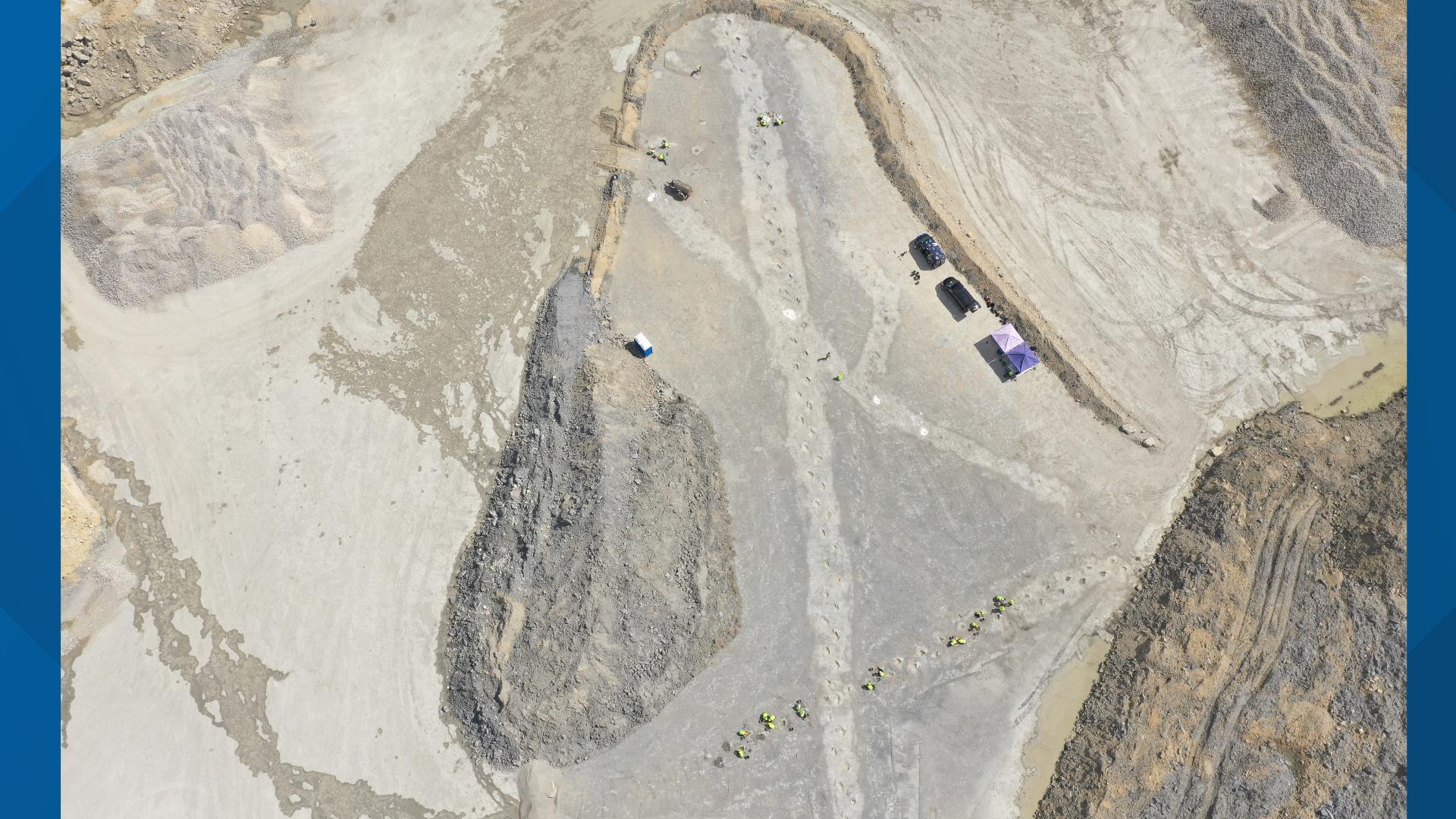 Researchers discovered 'dinosaur highway' tracks dating back 166