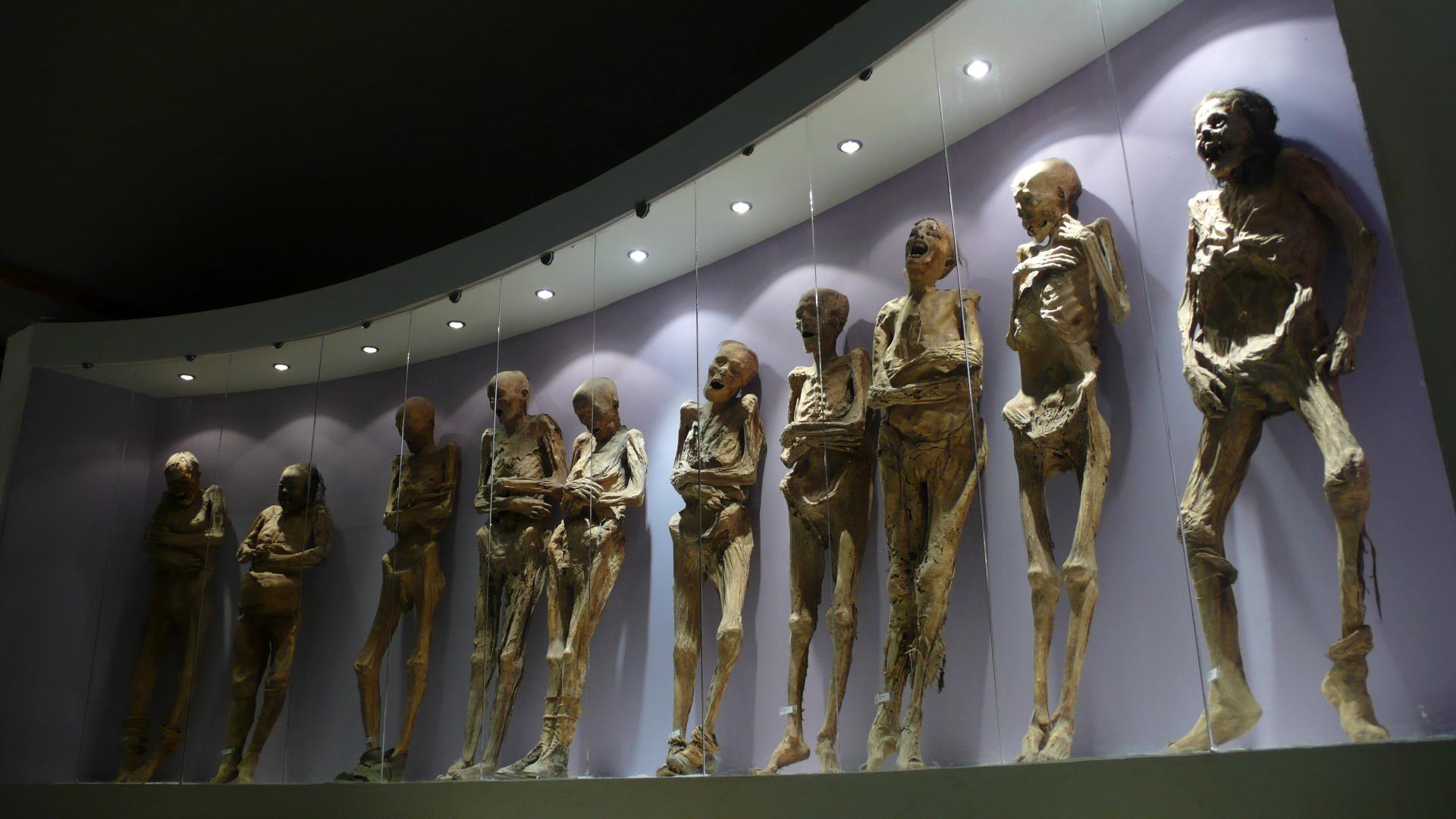 Mummy arm came off due to museum mishandling, Mexican gov't says ...