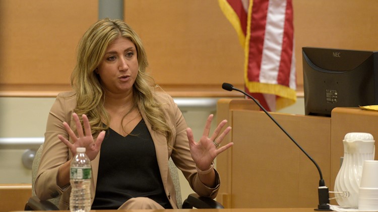 Infowars lawyer says show, website spread false statements about Sandy Hook