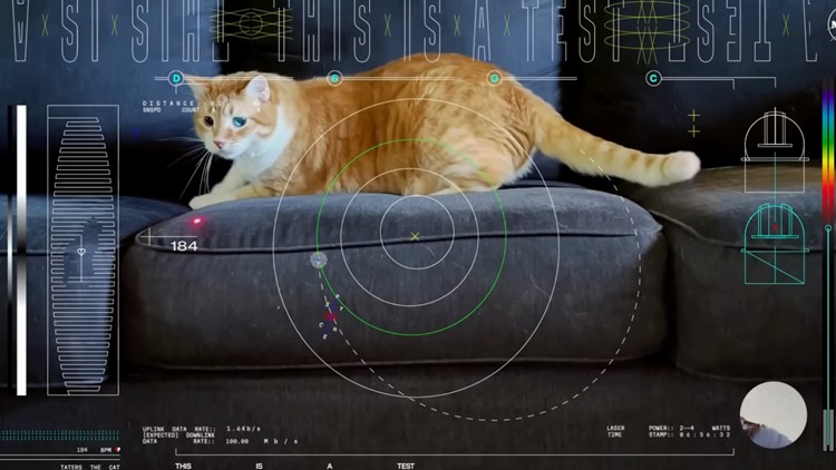 Orange tabby cat named Taters steals the show in first video sent by laser from deep space