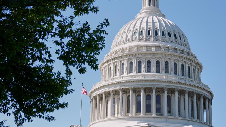 Midterm elections: Here are the key races that will decide control of the Senate