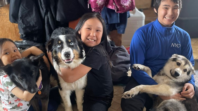 Alaska dog returns home after epic trek across sea ice