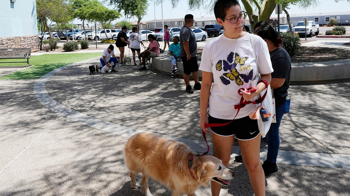 Fourth of July 2023: How to ease dogs' anxiety about fireworks - Vimarsana News