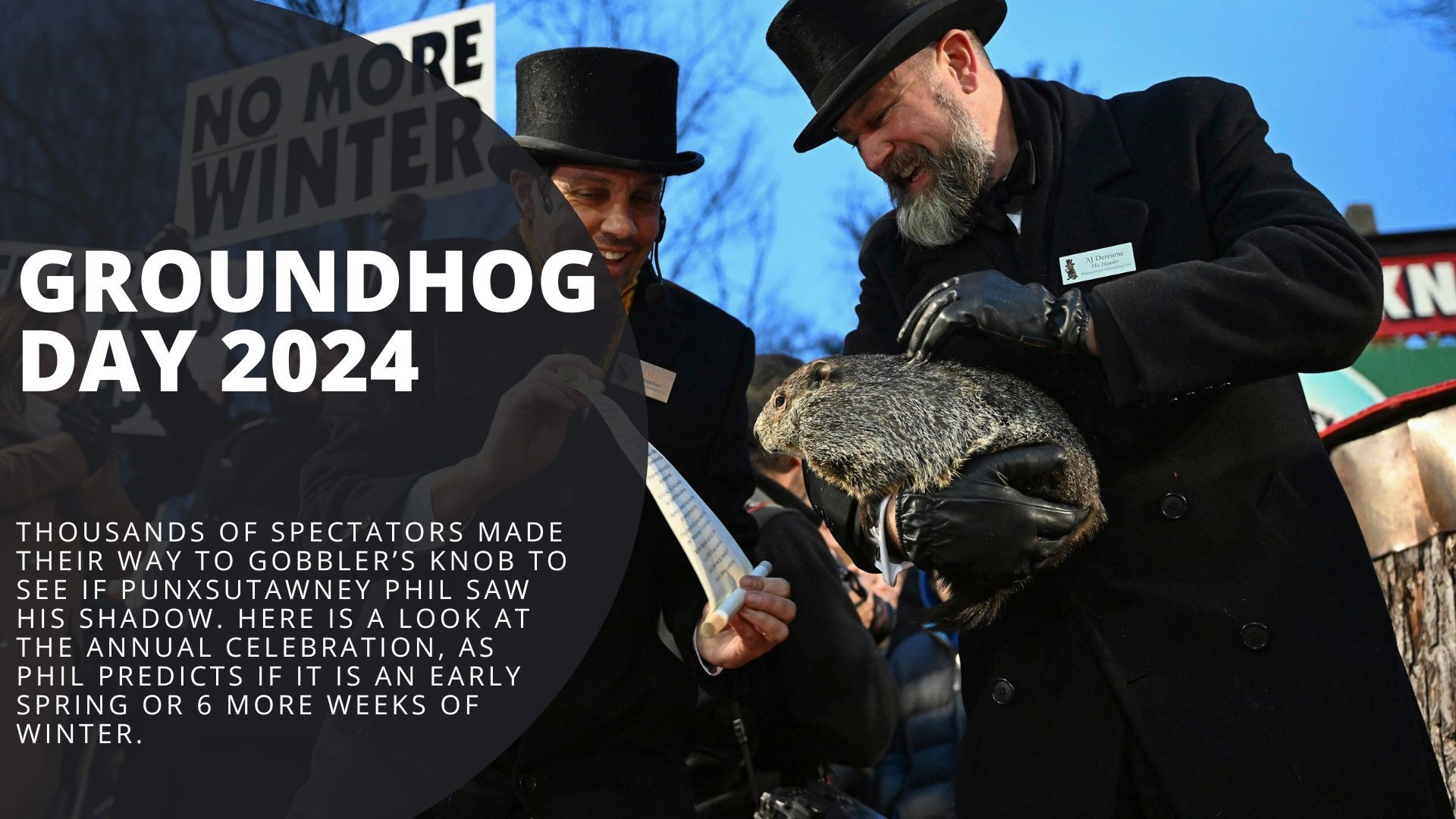 Groundhog Day animals Meet Punxsutawney Phil's competitors