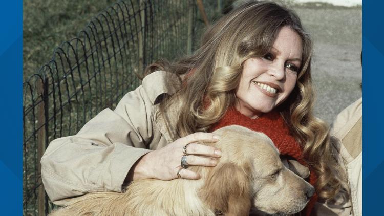 Brigitte Bardot, 1960s sultry sex symbol turned militant animal rights activist dies at 91