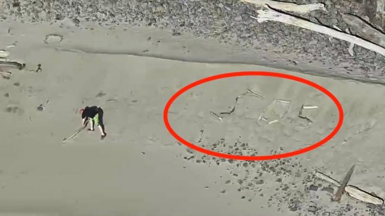 Tourists rescued after rising tide traps them on secluded Oregon coast beach