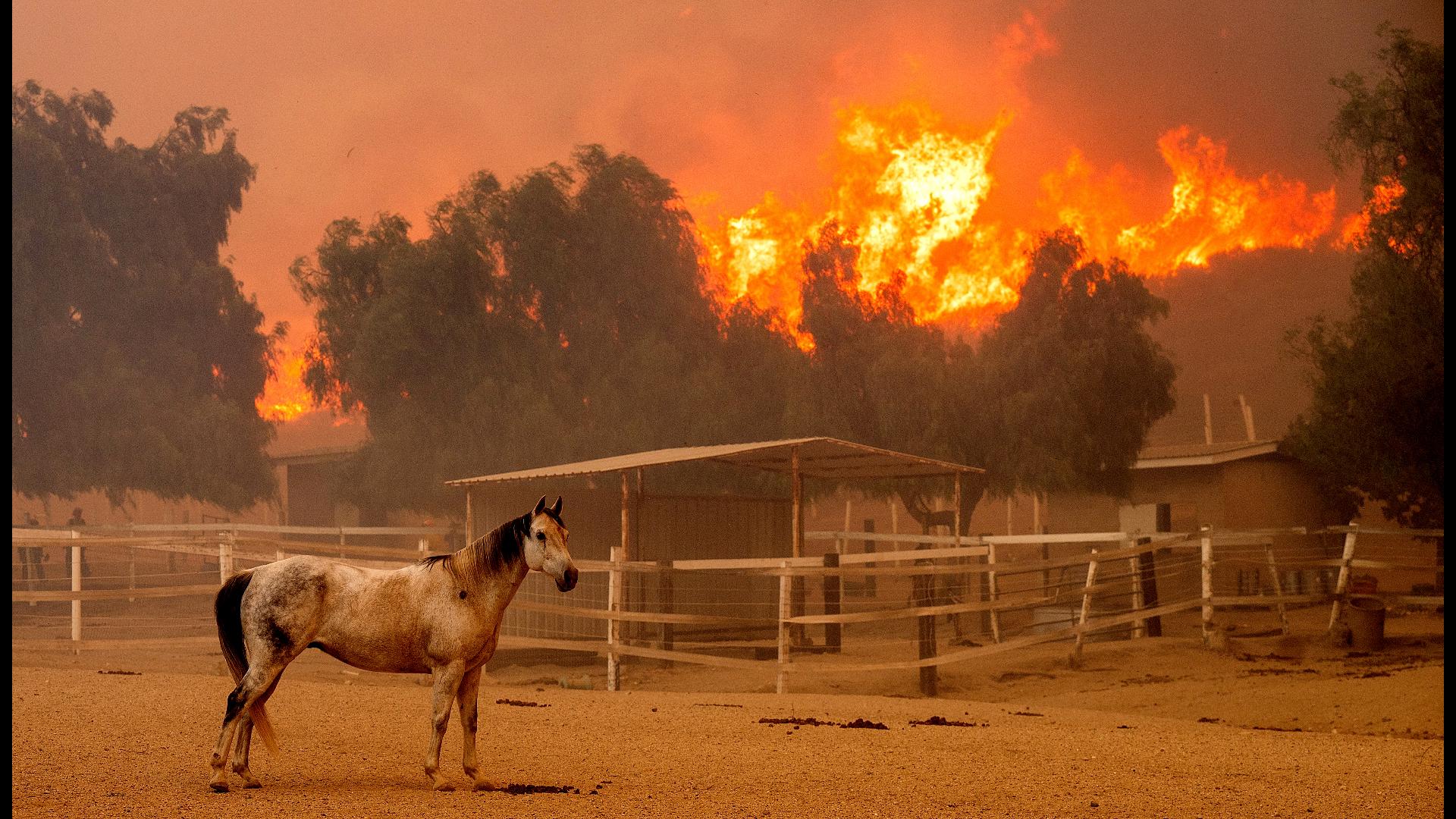 The mountain fire has already burned nearly 20,000 acres.