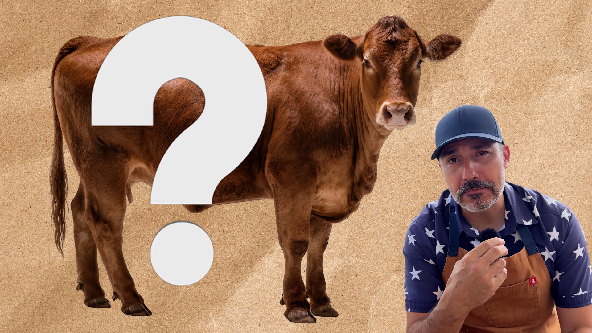 You’ve probably been eating imported beef for years and don’t even know ...