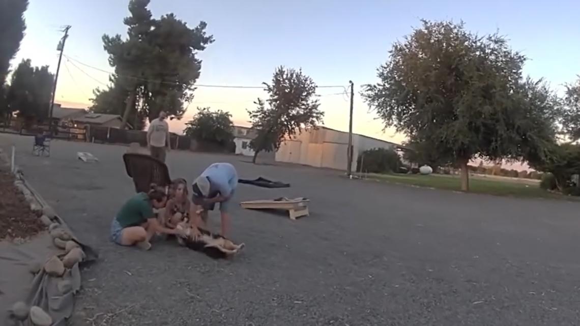 WATCH: Dog reunited with California family 10 days after being spooked by Fourth of July fireworks