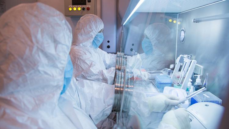 Plague researcher in Russia dies after contracting pneumonia of 'unknown' cause: What we know