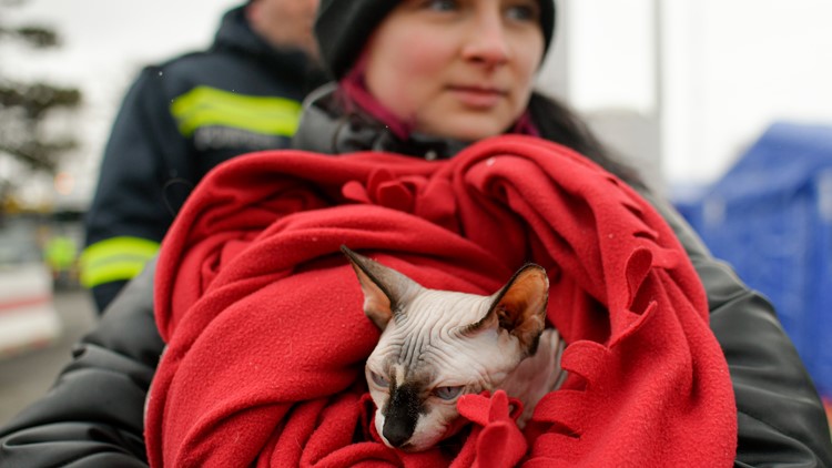 Refugees fleeing Ukraine grab documents, pets, some photos