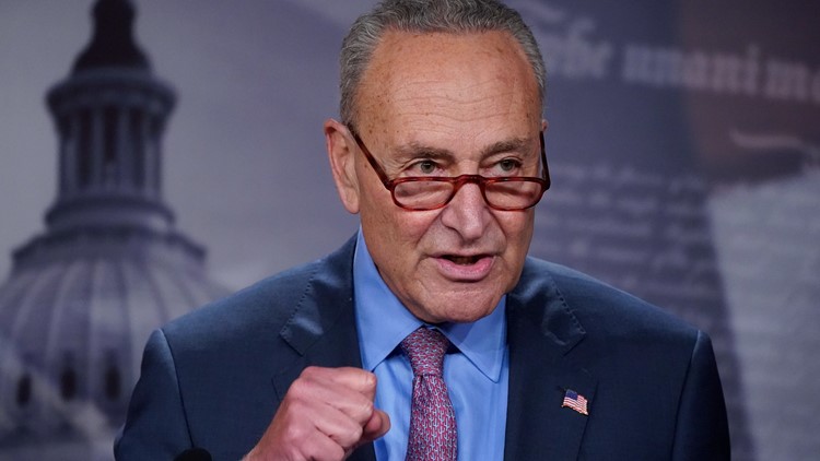 Schumer rallies Democrats after surprise deal with Manchin
