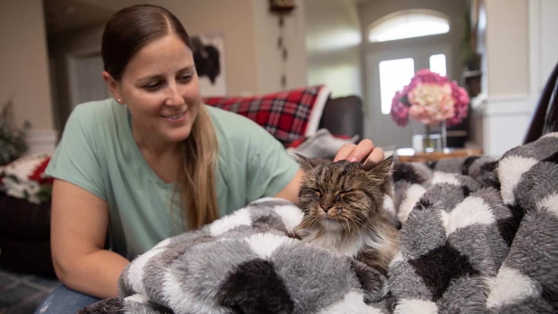 Tabby cat who survived 380foot fall in Utah finds new home