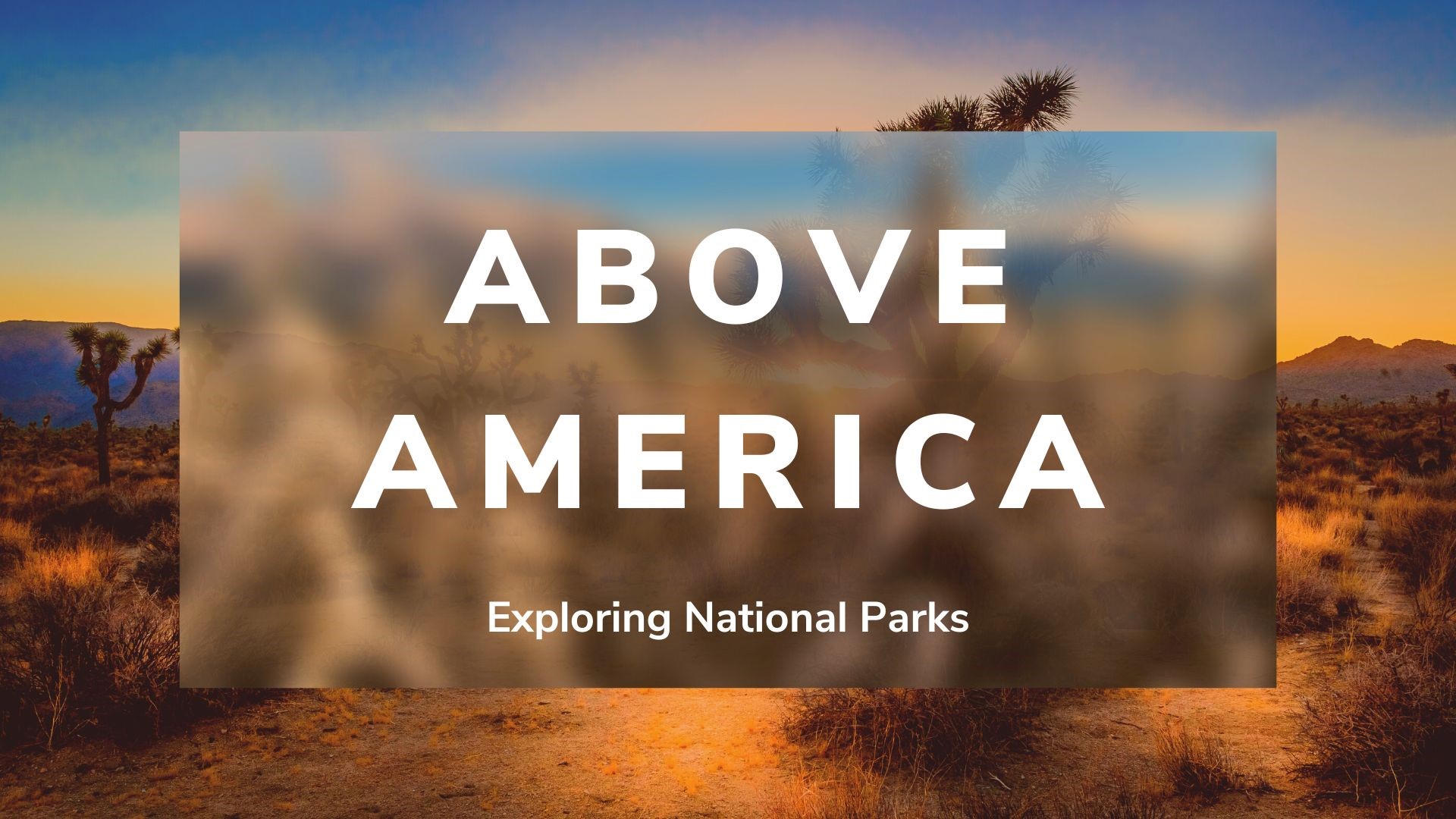 A view of national parks across the United States. Get a closer look at parks such as Joshua Tree and Yosemite.