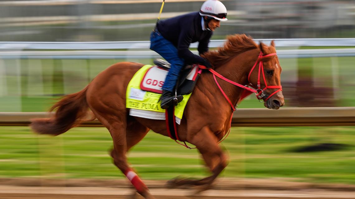 Only 18 horses racing in the Kentucky Derby after last-minute scratch of Great White