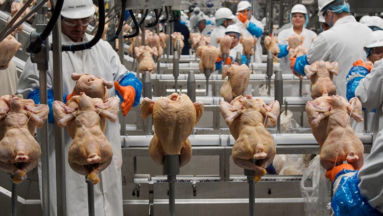 USDA rethinks approach to controlling salmonella in poultry