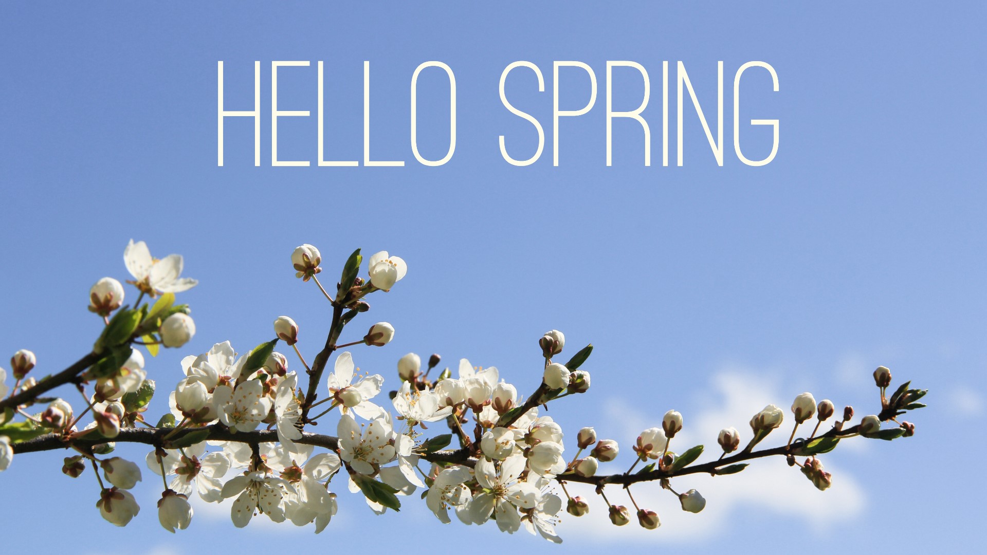 What happens during the spring equinox wqad