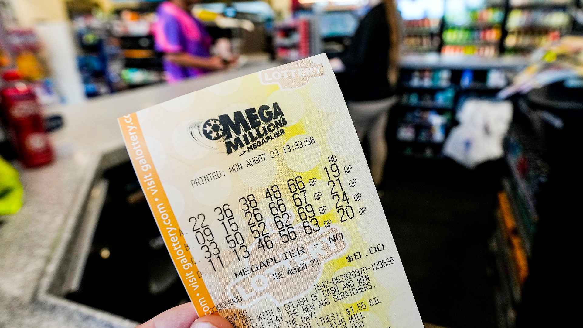 Who won the 800 million Mega Millions jackpot?