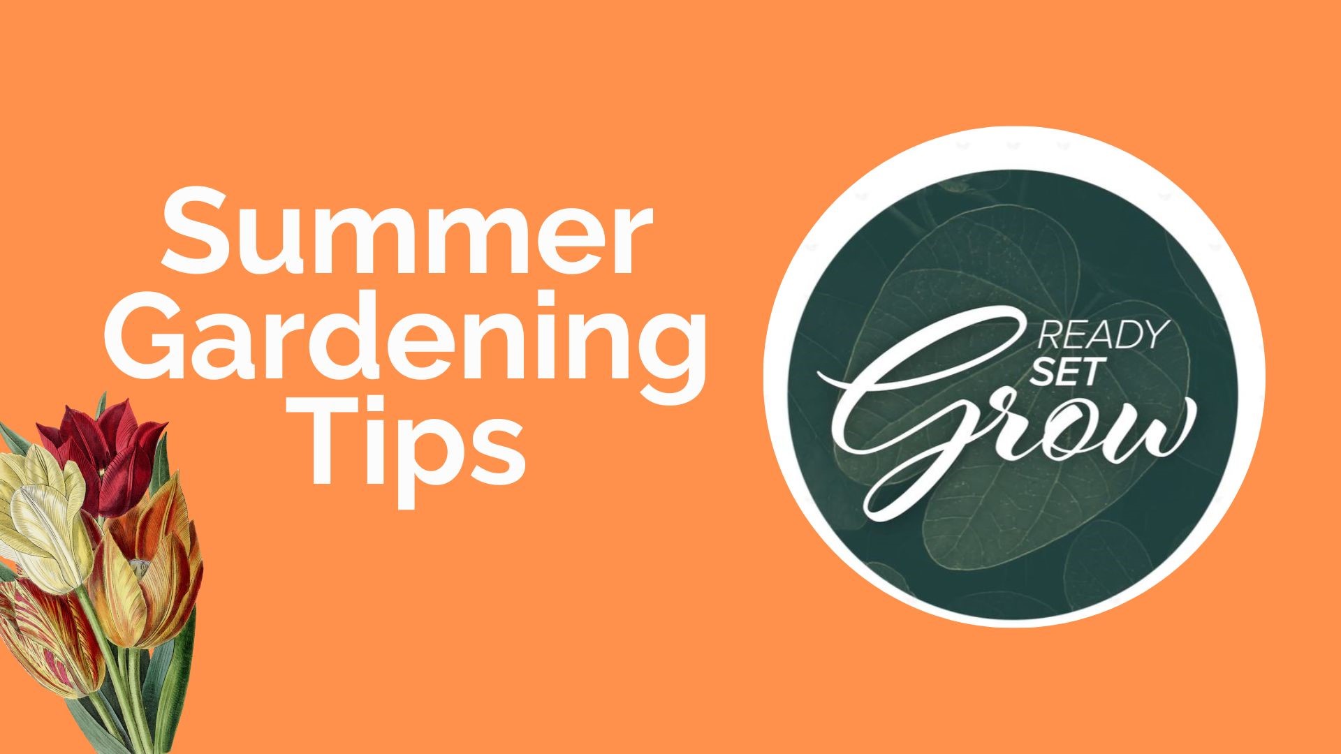 让你的草坪和花园在高温下保持安全的技巧，以及让你的院子远离蚊子。此外，你还可以自己种植香草、洋葱和韭菜。