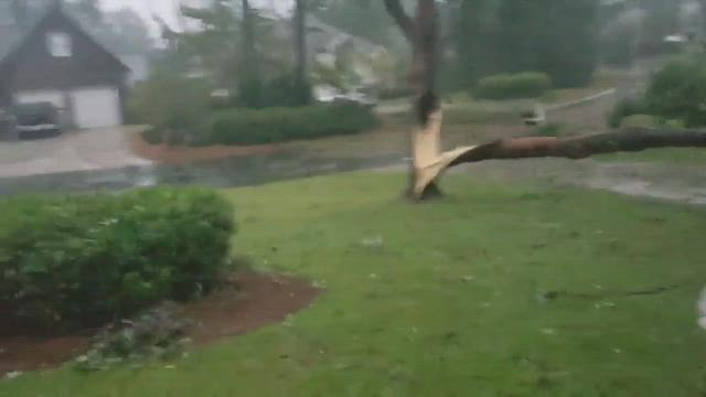 Video from Wilmington, North Carolina shows a tree splitting in half from Hurricane Florence's winds.