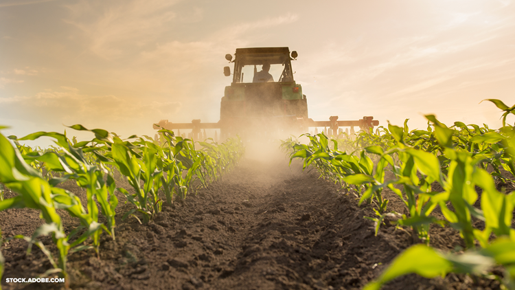MDA announces grant program to help first-time farm buyers