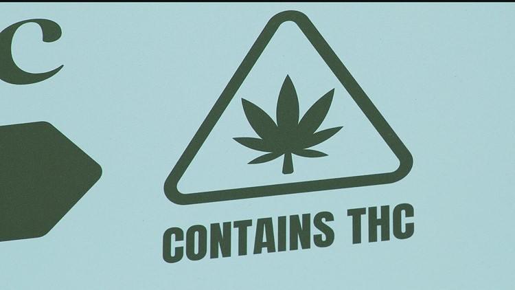 THC law in Minnesota forces employers to revisit drug testing policies
