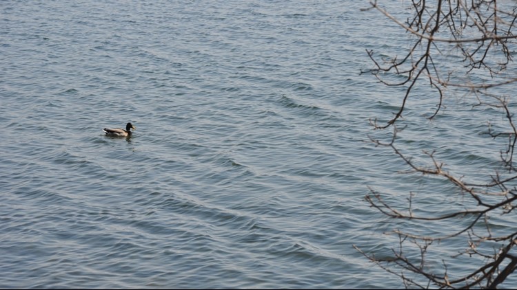 Minnesota DNR asks Duluth area residents to conserve water due to drought